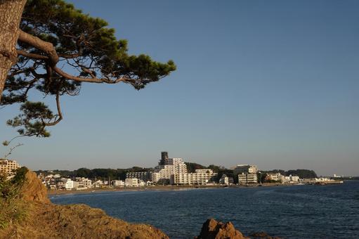 海と松と町並み 海と松と町並み 海,青,晴天の写真素材