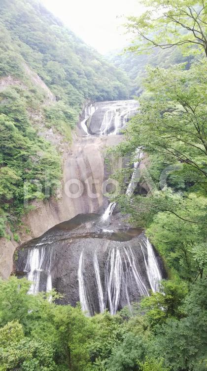 茨城県-日本三名瀑-袋田の滝 袋田の滝,滝,三名瀑の写真素材