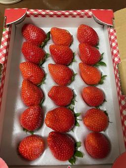 箱詰めされたイチゴ 箱詰めされたイチゴ おいしい,イチゴ,いちごの写真素材