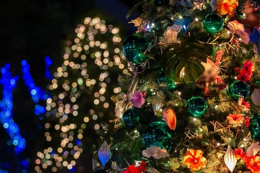 クリスマスツリー クリスマスツリー,イルミネーション,ライトアップの写真素材