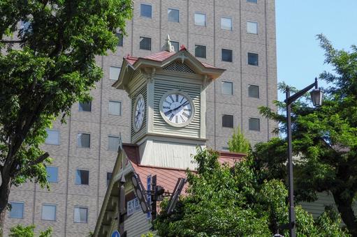 新緑と札幌市時計台 新緑,時計台,6月の写真素材