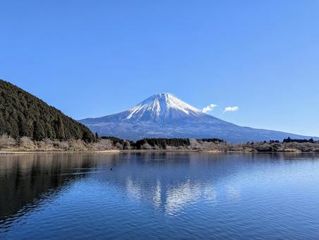 冬晴れの田貫湖 富士山,自然,風景の写真素材