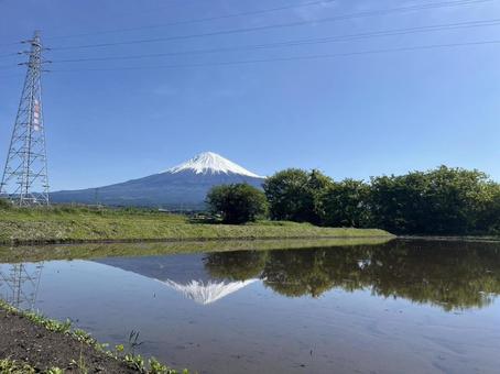 田の鏡に映る富士と構造美 田の鏡に映る富士と構造美 富士山,世界遺産,風景の写真素材