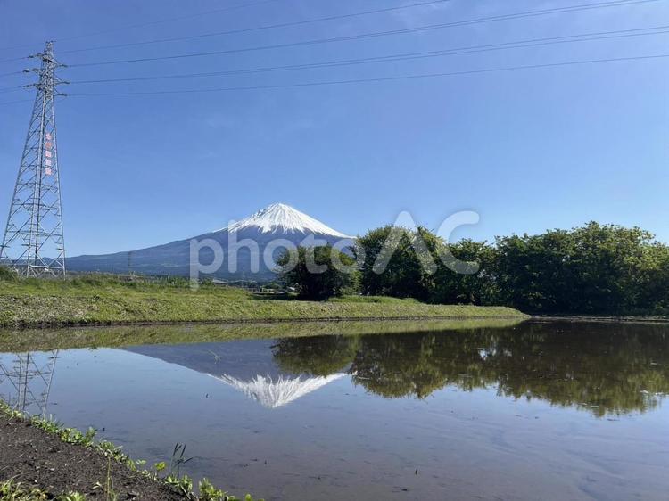 田の鏡に映る富士と構造美 富士山,世界遺産,風景の写真素材