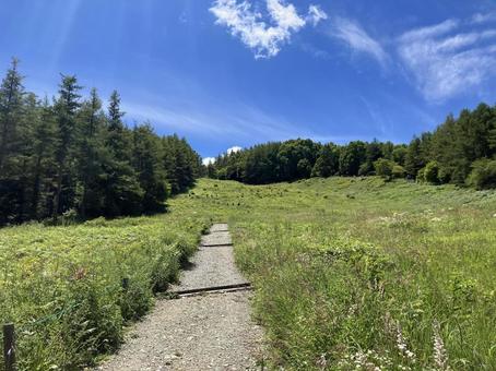 入笠山の花畑の風景(夏) 入笠山の花畑の風景(夏) 入笠山,花畑,花の写真素材