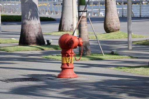 赤い消火栓のある街 赤い消火栓のある街 赤い,消火栓,街の写真素材