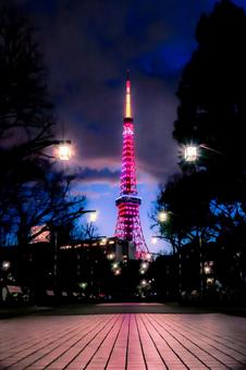 ピンク東京タワー 東京タワー,夜景,ライトアップの写真素材