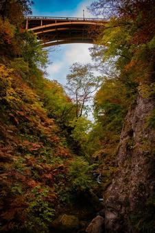 宮城県　鳴子峡の秋の風景 宮城,宮城県,大崎市の写真素材