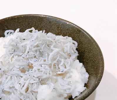 しらすご飯 しらすご飯 しらすご飯,釜揚げしらす,しらすの写真素材