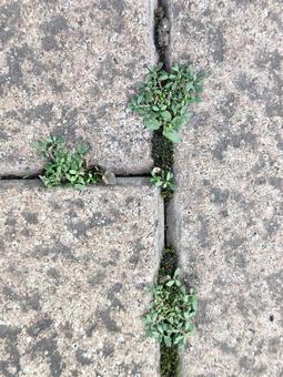 Photo, block, block gap, small world, 
