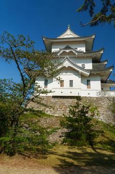 伊賀上野城 伊賀上野城 伊賀上野城,三重県,伊賀市の写真素材