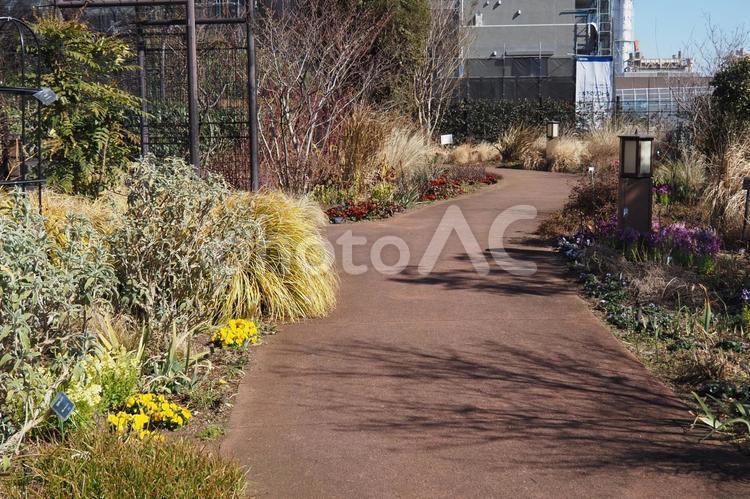 東品川海上公園の屋上庭園 東品川海上公園,屋上庭園,道の写真素材