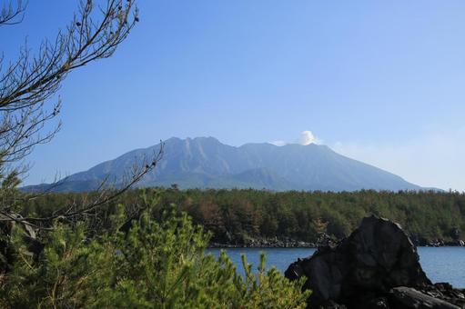 溶岩なぎさ遊歩道から見た桜島 溶岩なぎさ遊歩道から見た桜島 桜島,火山,活火山の写真素材