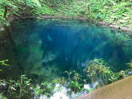 青池 青池 十二湖,青池,自然の写真素材
