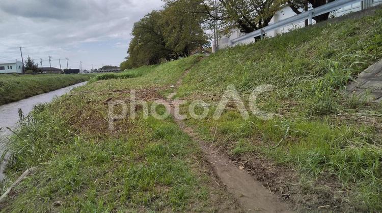 河川敷の獣道　 河川敷,獣道,自然の写真素材