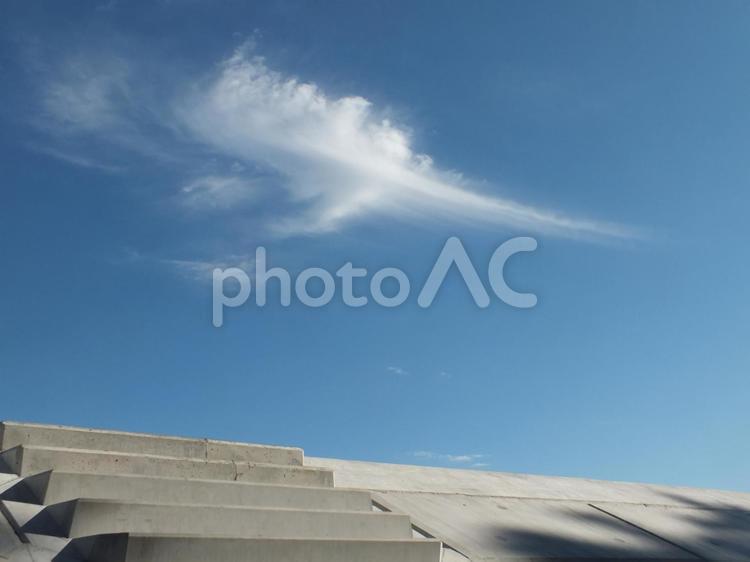 すいっと流れる秋の雲 空,雲,動きの写真素材