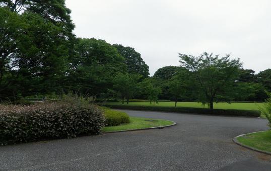 皇居敷地内芝生 皇居敷地内芝生の写真