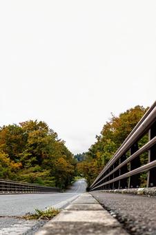 秋の森へと続く道 道,道路,橋の写真素材