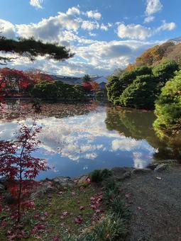 空と紅葉 紅葉,秋,もみじの写真素材