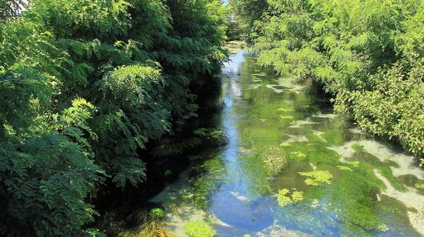 夏の安曇野 田園地帯を流れる清らかな流れ 夏の安曇野 田園地帯を流れる清らかな流れ 安曇野市,夏,清流の写真素材