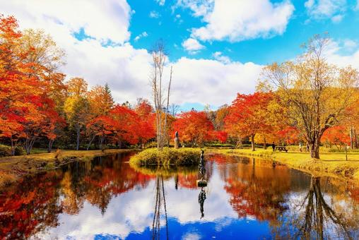 北海道の紅葉 北海道の紅葉 紅葉,秋,池の写真素材