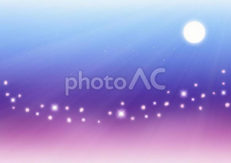 夜桜　満月の光と煌めく桜吹雪　背景素材（紫×青） 夜桜,満月,光の写真素材