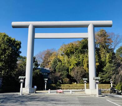 櫻木神社　大鳥居 櫻木神社,千葉県野田市,神社の写真素材