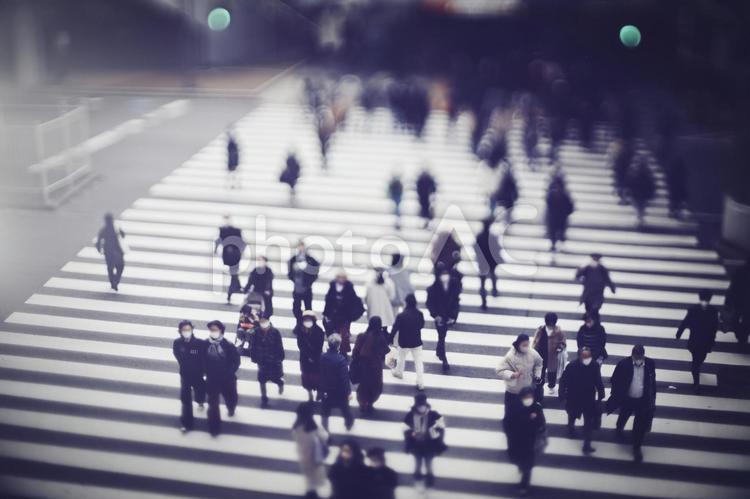 横断歩道を渡る人々 ビジネスイメージ 社会,不景気,ビジネスの写真素材