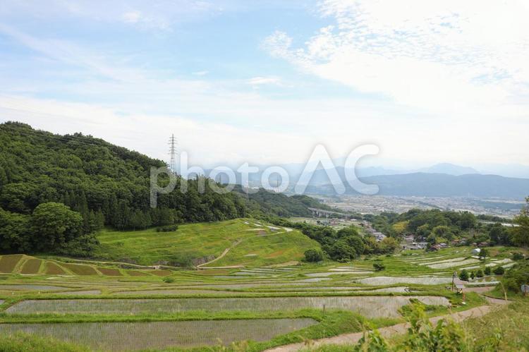 稲倉の棚田1 稲倉の棚田,あぜ道,空の写真素材