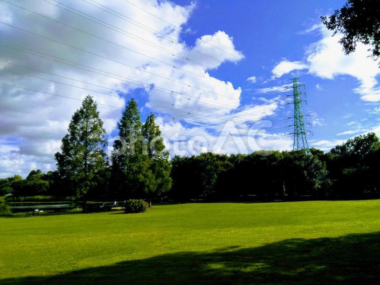 夏の芝生の公園 公園,夏,雲の写真素材