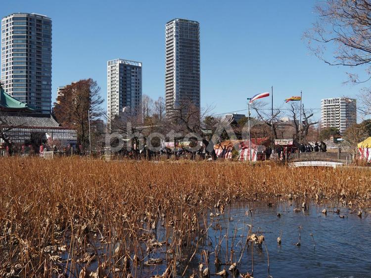 上野恩賜公園の風景 上野恩賜公園,辯天堂,公園の写真素材