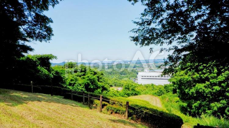 夏の七沢森林公園・高所から見る厚木市の街 夏,七沢森林公園,ながめの丘の写真素材