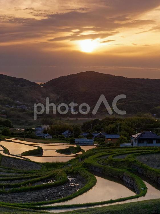 夕日に照らされる棚田 田んぼ,棚田,田舎の写真素材