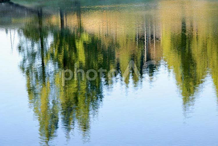 秋のささやき 自然,秋,風景の写真素材