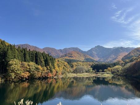 大源太キャニオンの紅葉2 紅葉,秋,大源太キャニオンの写真素材