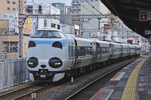 ２８７系特急くろしお　パンダラッピング車 乗合,旅客,のりものの写真素材