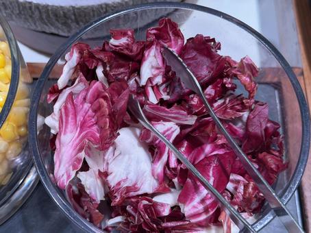 野菜 野菜,レタス,おいしいの写真素材