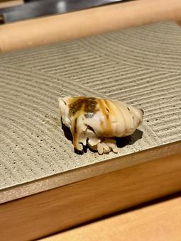 かき かき 牡蠣の握り,かき,握りの写真素材