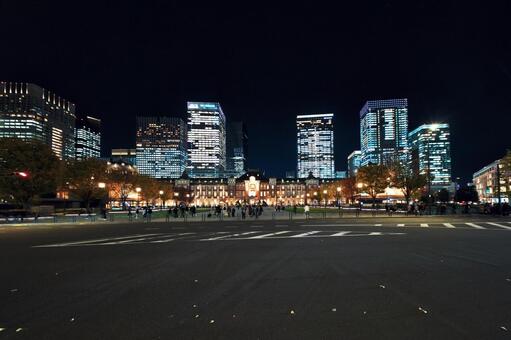 夜の行幸通りから見る東京駅丸の内駅舎 行幸通り,東京駅,丸の内駅舎の写真素材