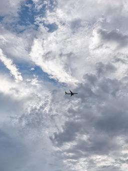 夏空と飛行機 夏空と飛行機の写真