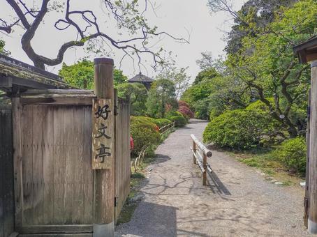 偕楽園 好文亭への入口 偕楽園 好文亭への入口 偕楽園,好文亭,茨城県の写真素材