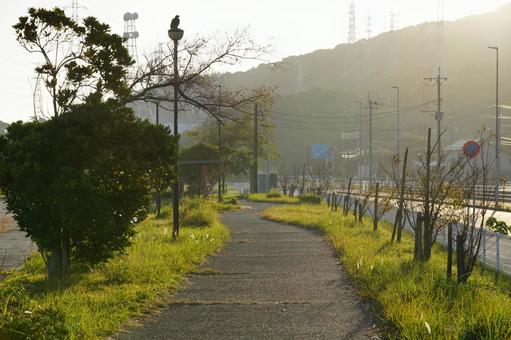 公園の風景 公園,樹木,空の写真素材