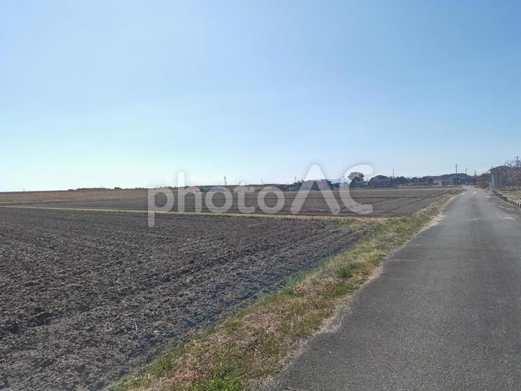 田舎の田んぼ沿いの道 田舎,田んぼ,道路の写真素材
