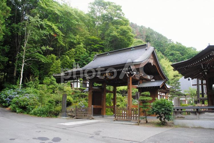 信州上田市塩田野龍光院 信州,上田市,塩田野の写真素材