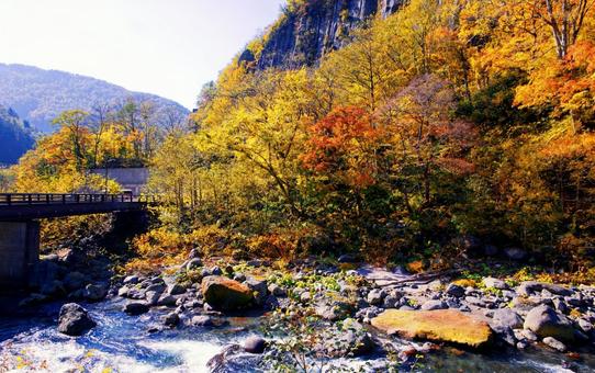 天人峡の紅葉 天人峡,天人峡温泉,北海道の写真素材