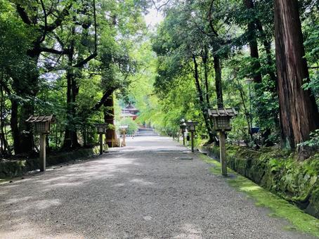 石上神宮 参道 石上神宮 参道の写真