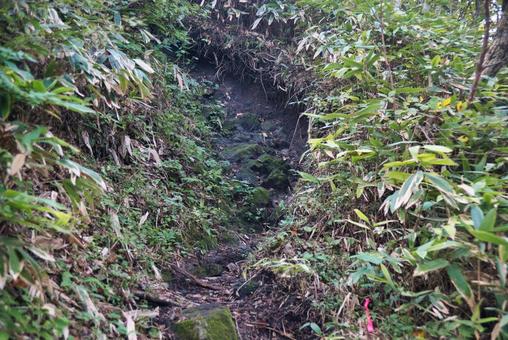 三瓶山の風景の写真