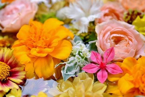 花手水 花手水の写真