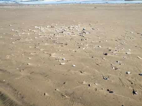 砂浜 砂浜,海,海岸の写真素材