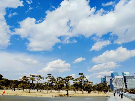 青い空と白い雲 青い空と白い雲の写真